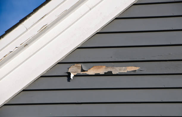 Best Custom Siding Design  in Northfield, NJ