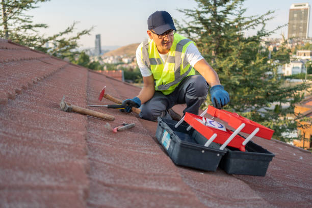 Best Storm Damage Siding Repair  in Northfield, NJ